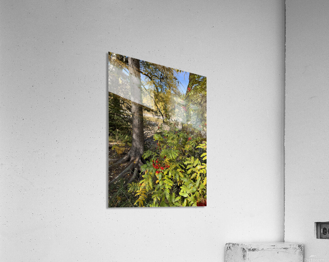 IMG 4378 landscape with colors Acrylic Print