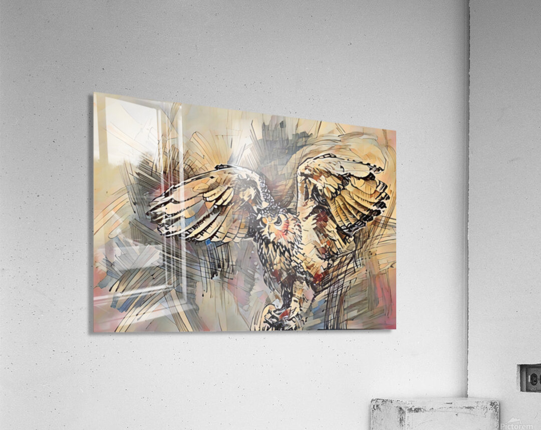 ArtXcl 312 Owl color sketch Acrylic Print