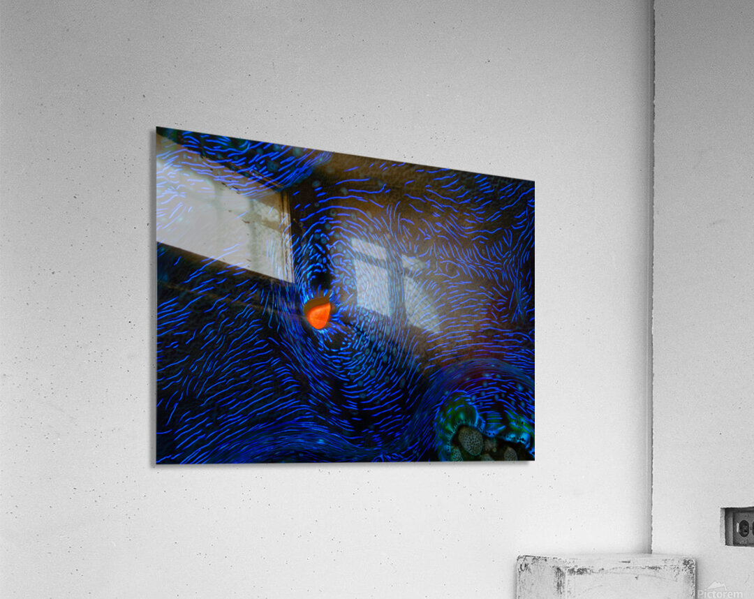 MONET S CLAM Acrylic Print