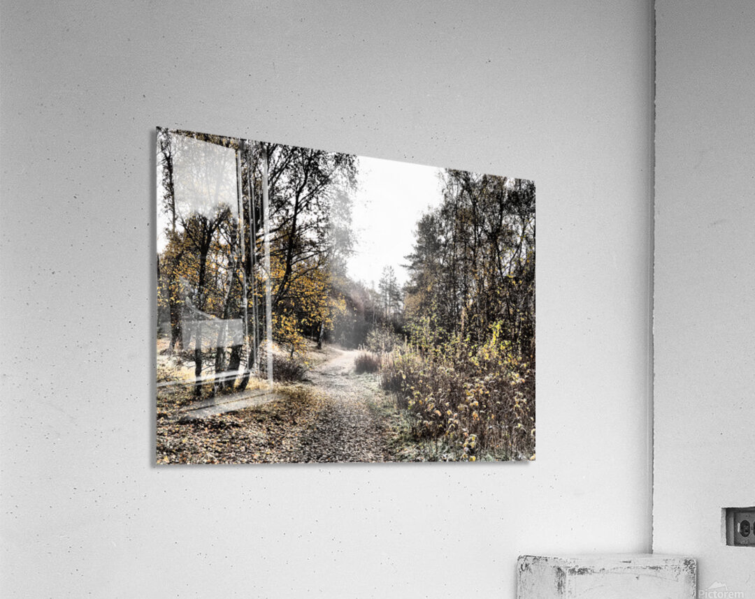  Scottish Highlands Autumnal Nature Trail                                                                                                                     Acrylic Print
