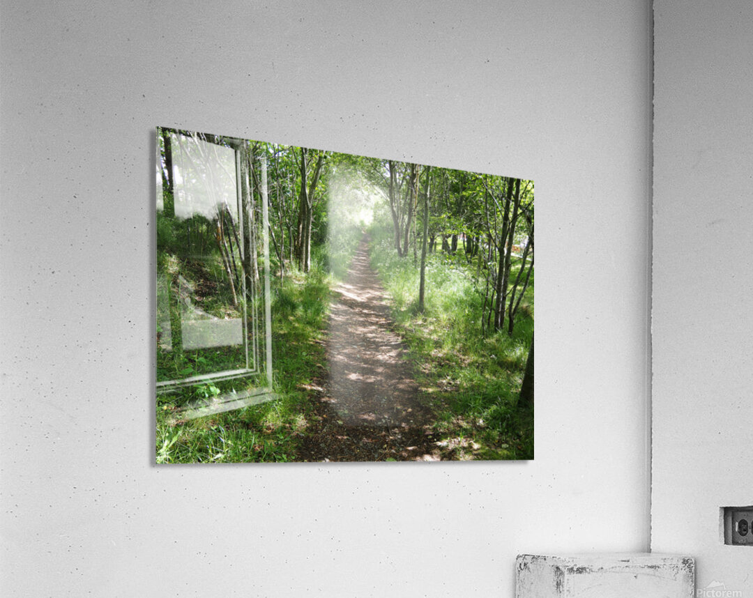 Light and Shadow on a Scottish Highlands Trail                                                                                                                      Acrylic Print