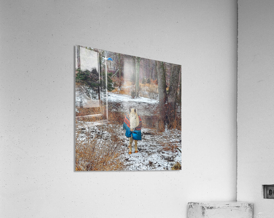 Cherokee Acrylic Print