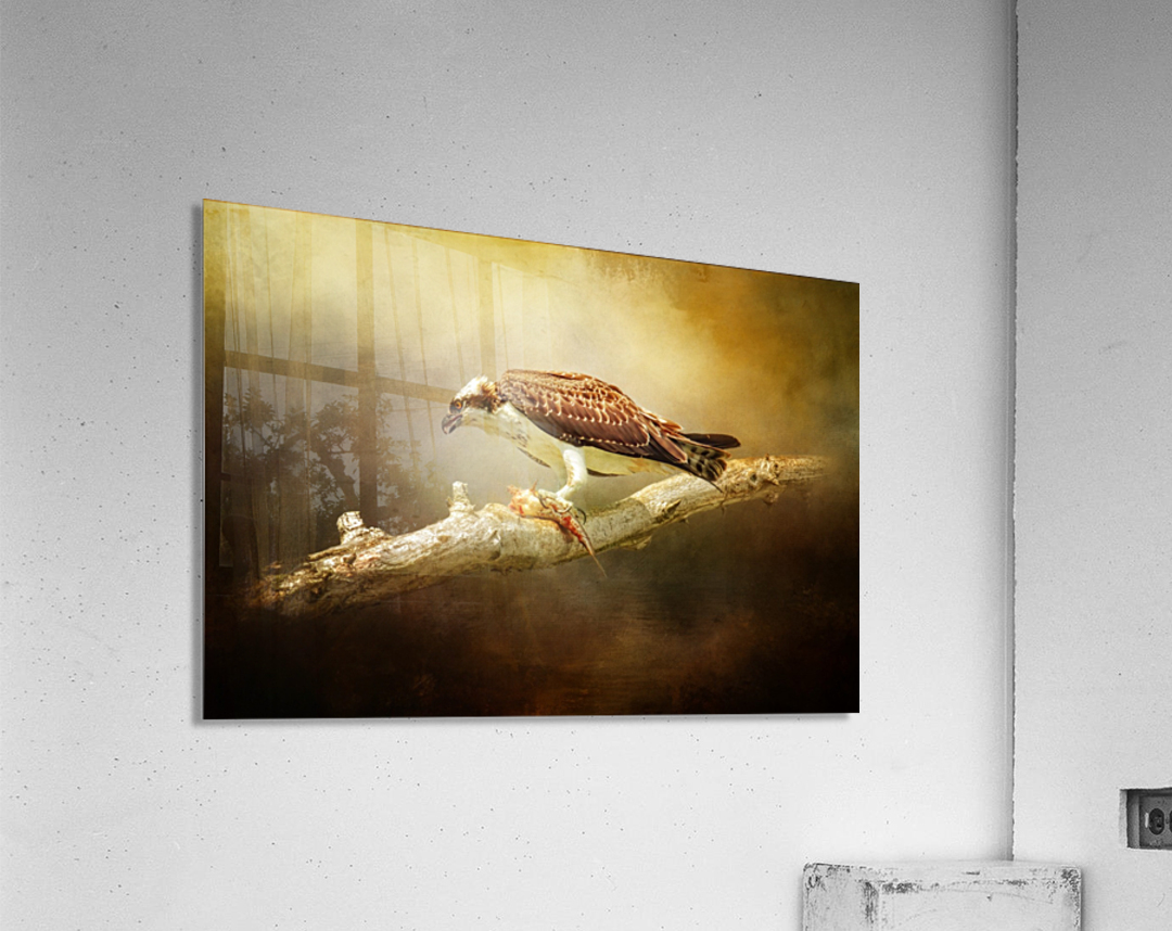 Lunch Time Acrylic Print