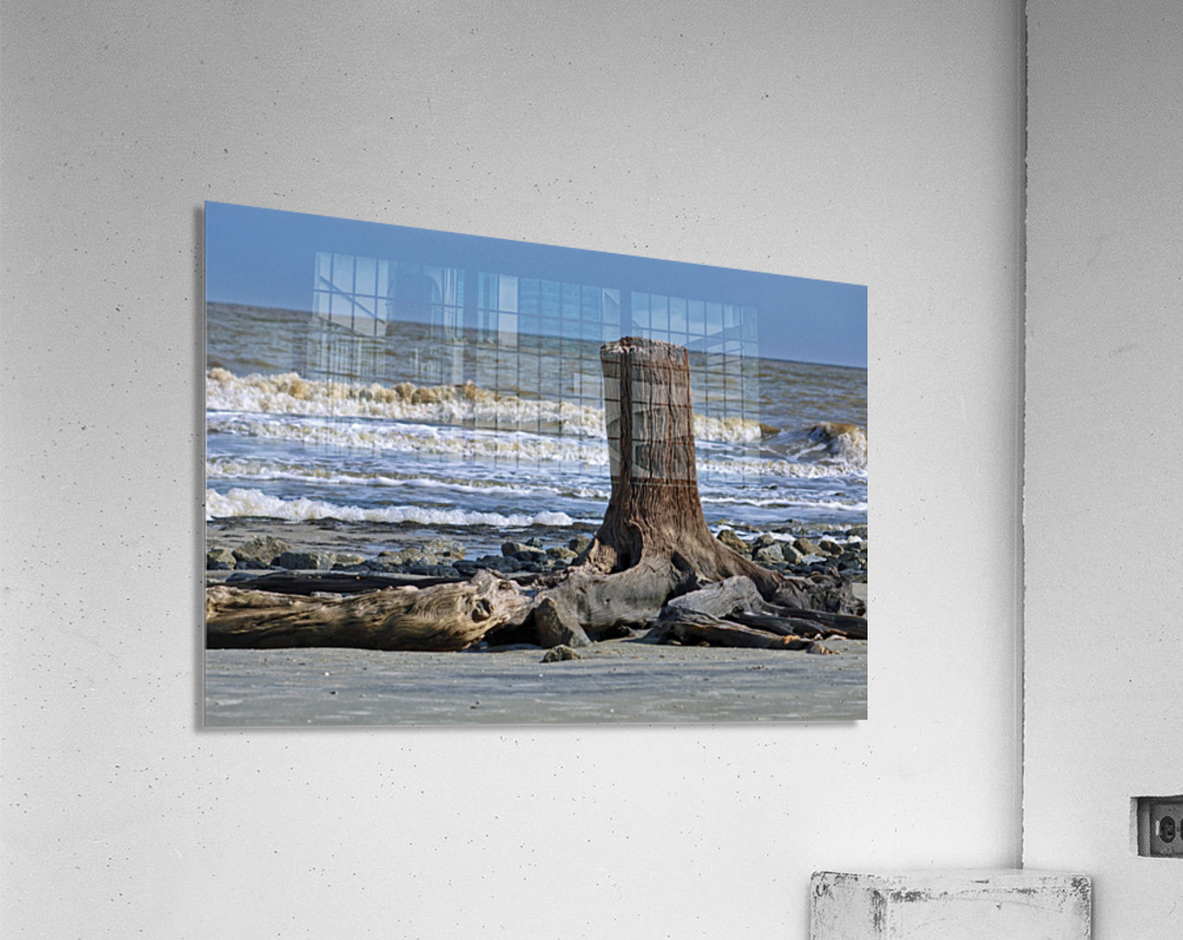 Driftwood Beach Post Acrylic Print