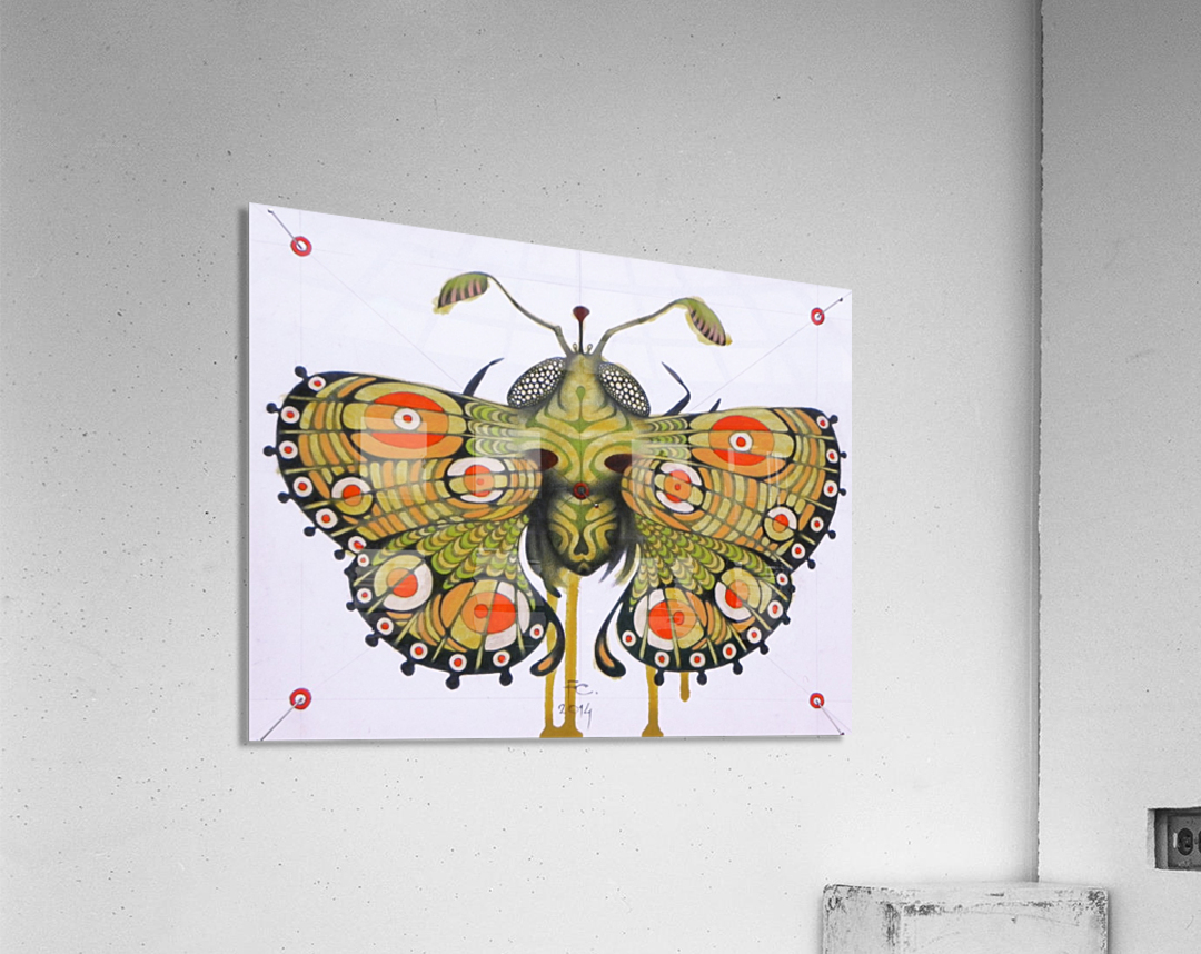 moth Acrylic Print