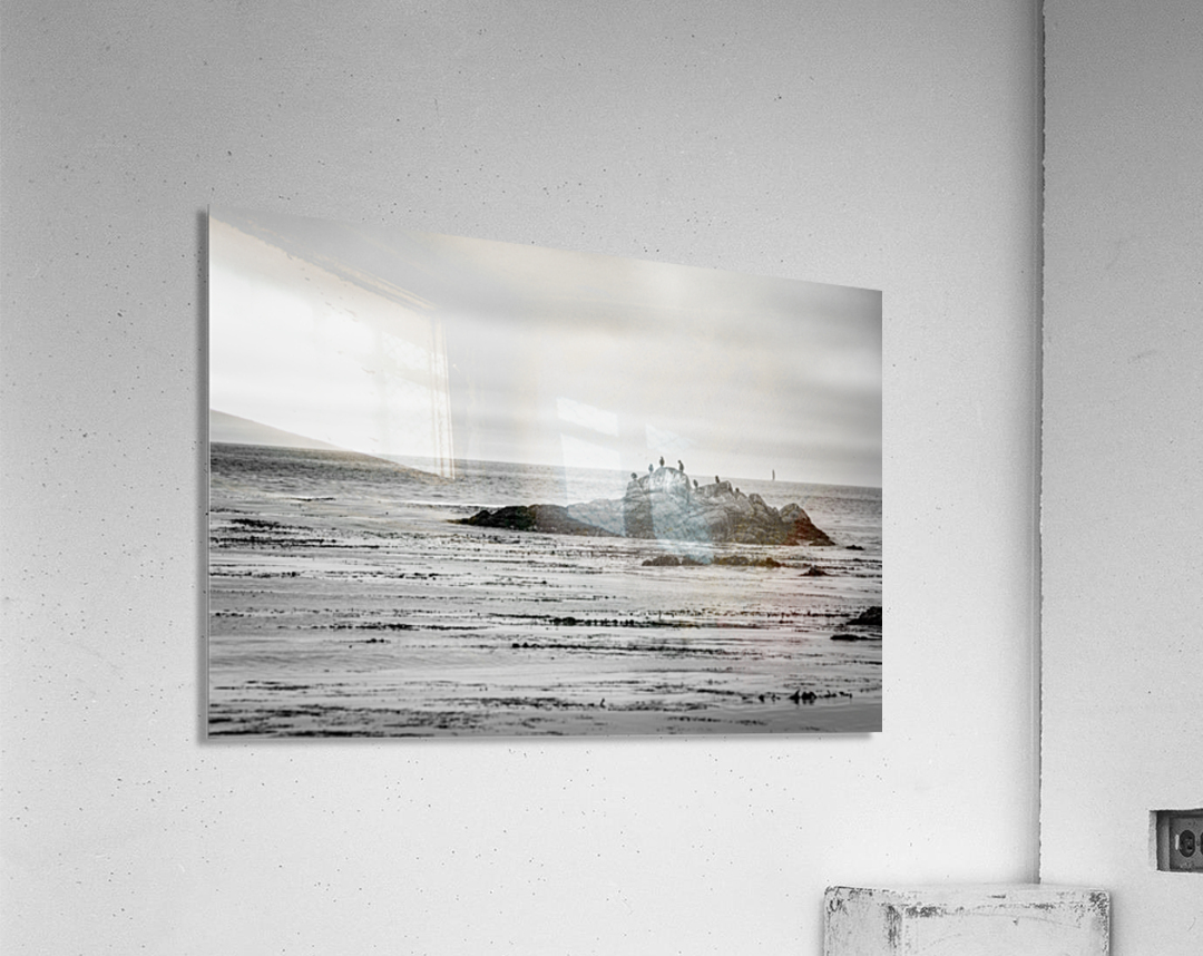 Monterey Peninsula 1399 Acrylic Print