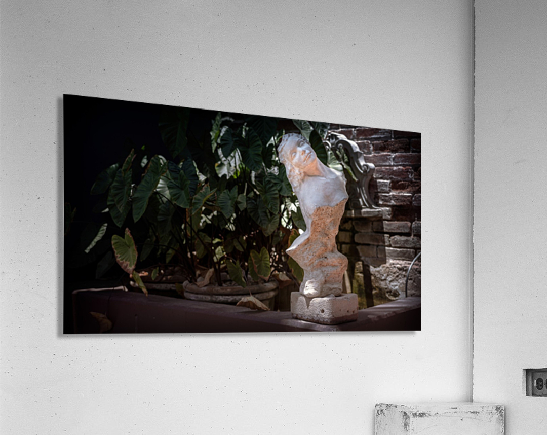 Bust at the Hotel California Acrylic Print