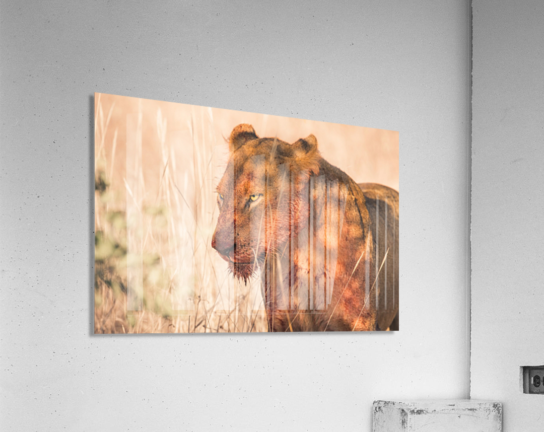 Hunter Acrylic Print