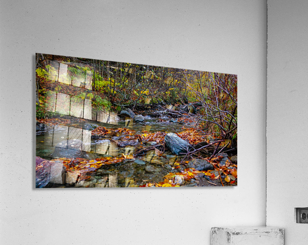 Fall Stream  Acrylic Print