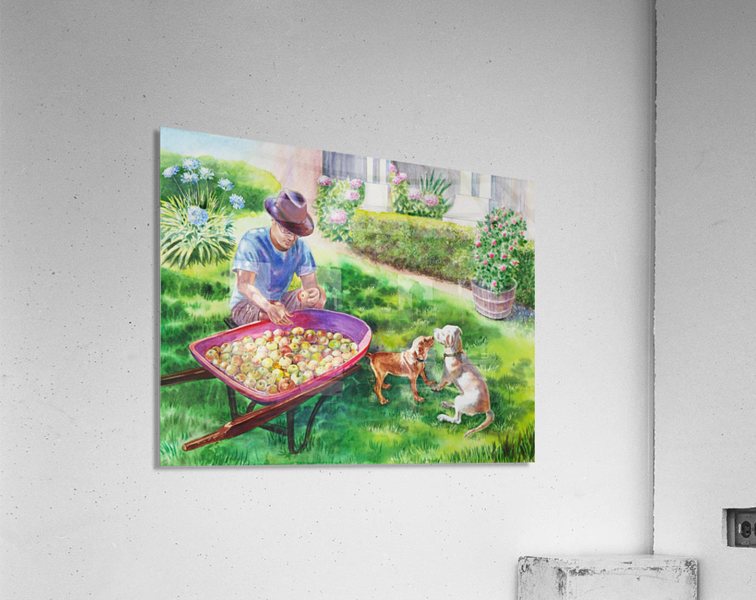 Apples Harvest Acrylic Print