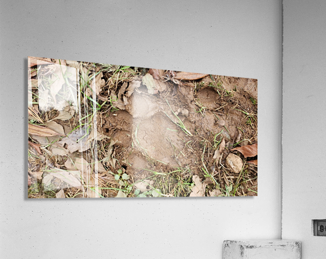 Snapchat 1522267205 Acrylic Print