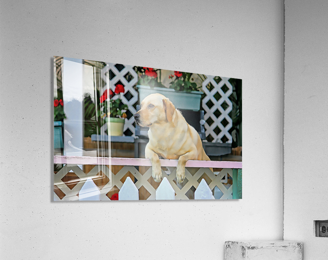 People Watching Acrylic Print