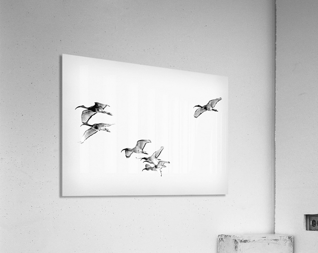 AdriaanPrinsloo 13001 Acrylic Print