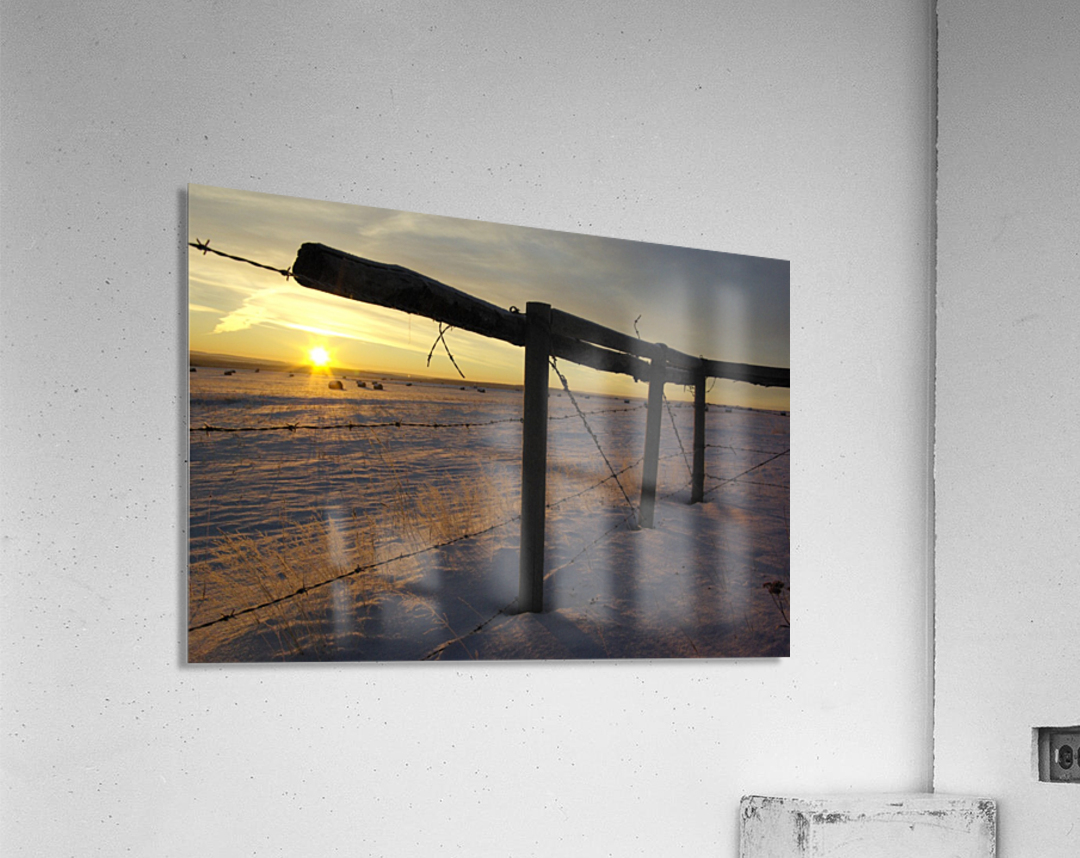 Winter Sunrise Acrylic Print