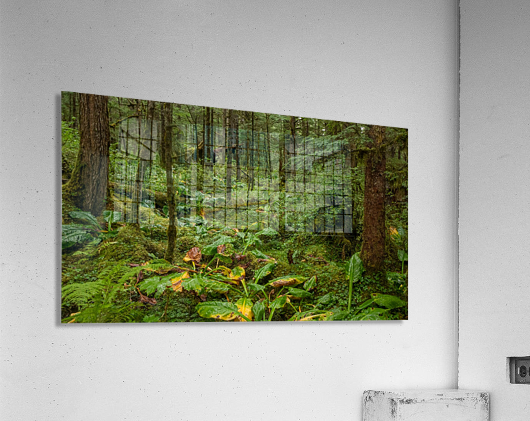 Green and Wet Acrylic Print