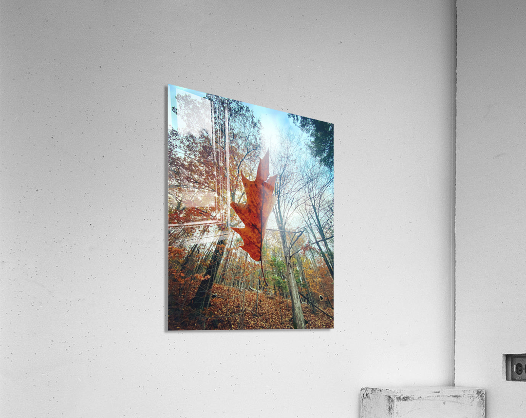 Falling Up Acrylic Print