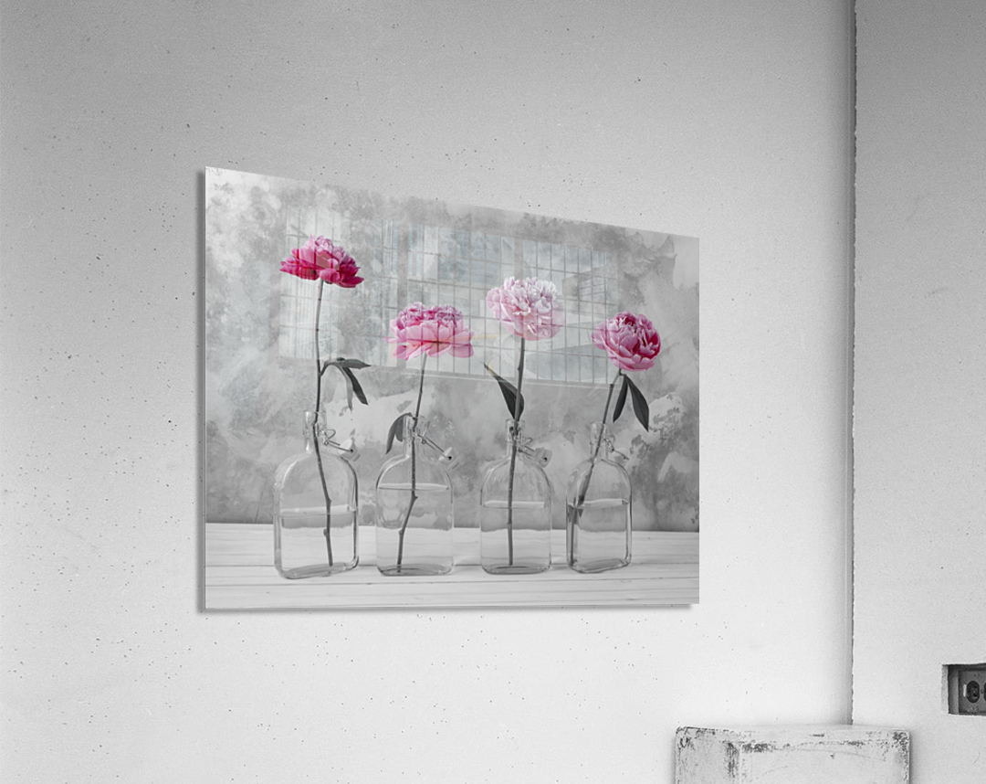 Peonies in glass bottles Acrylic Print