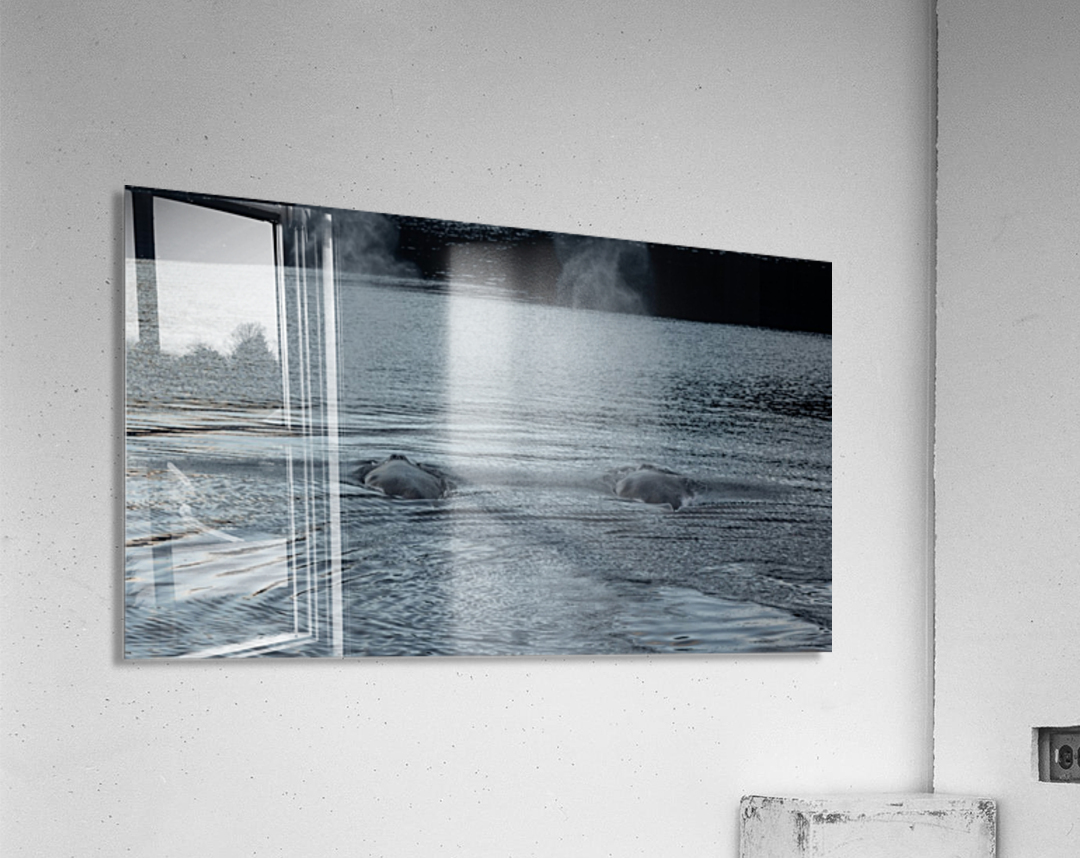 Double Spout Alaska Acrylic Print