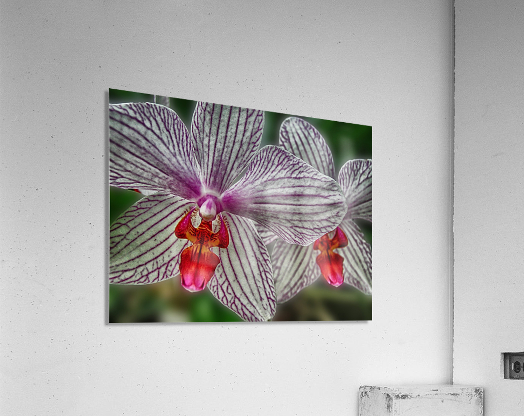 flower nine Acrylic Print