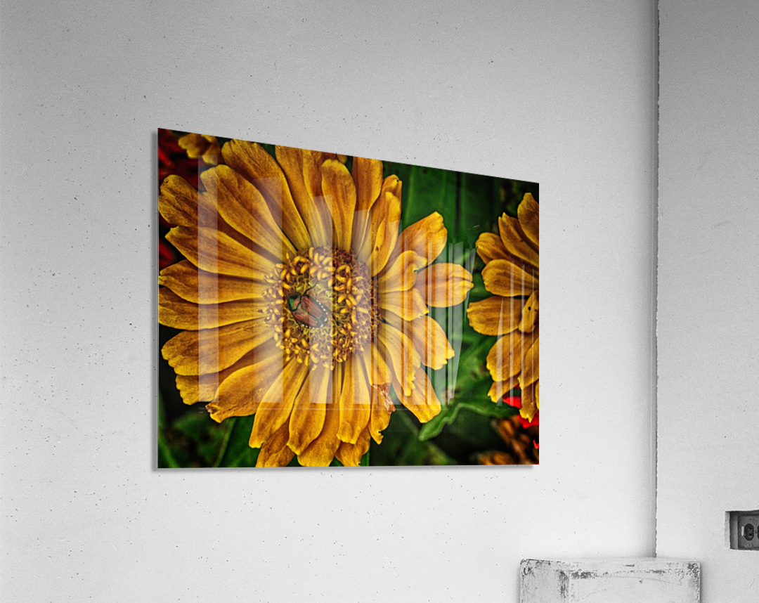 little bug Acrylic Print