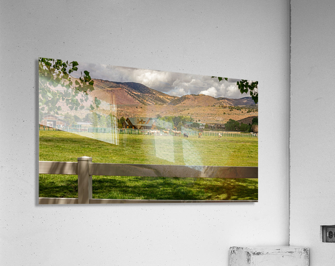 Horse Pasture  Acrylic Print