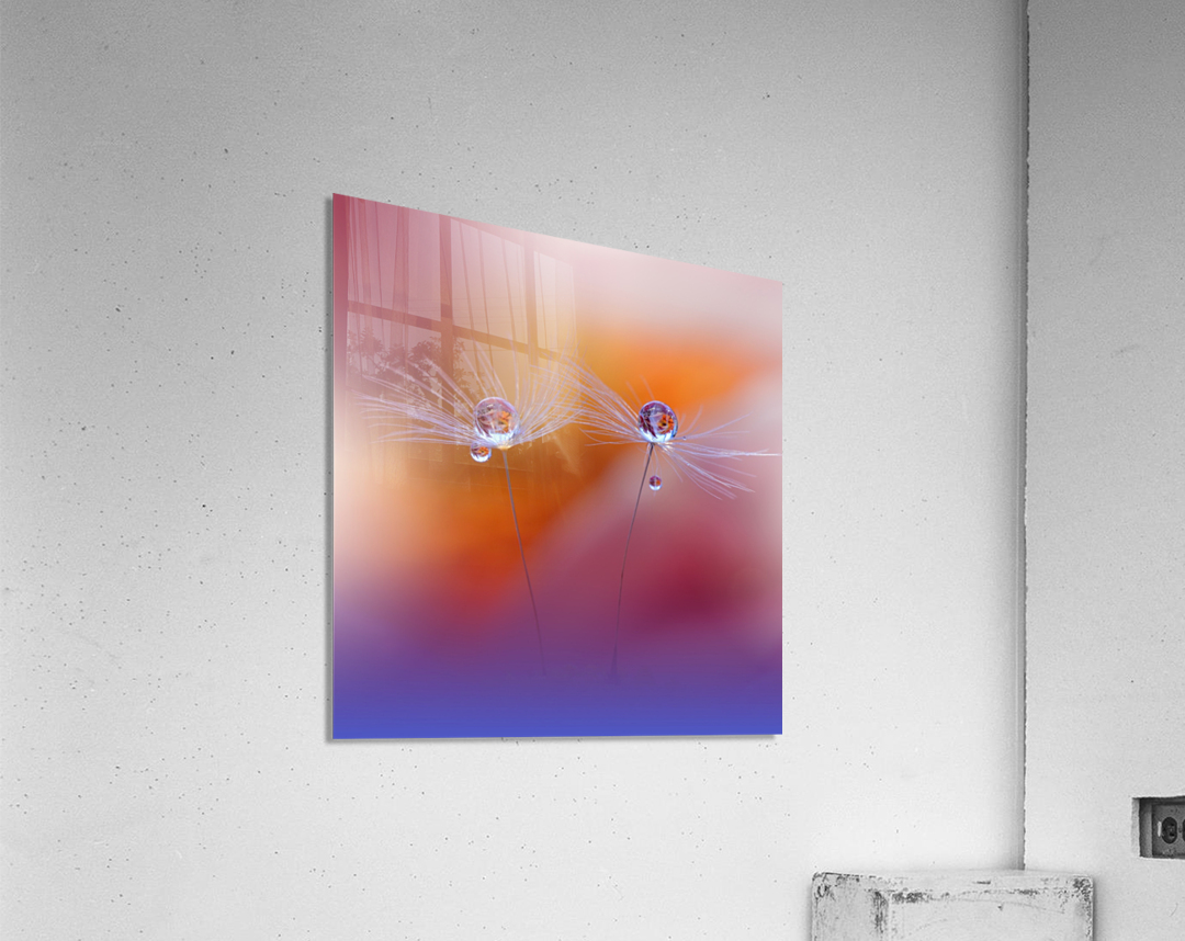 Two Worlds by Juliana Nan  Acrylic Print