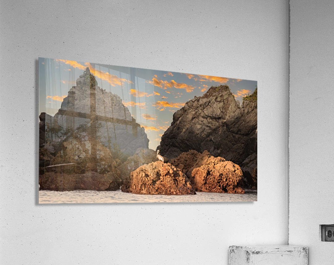 Pelican at Dawn Acrylic Print