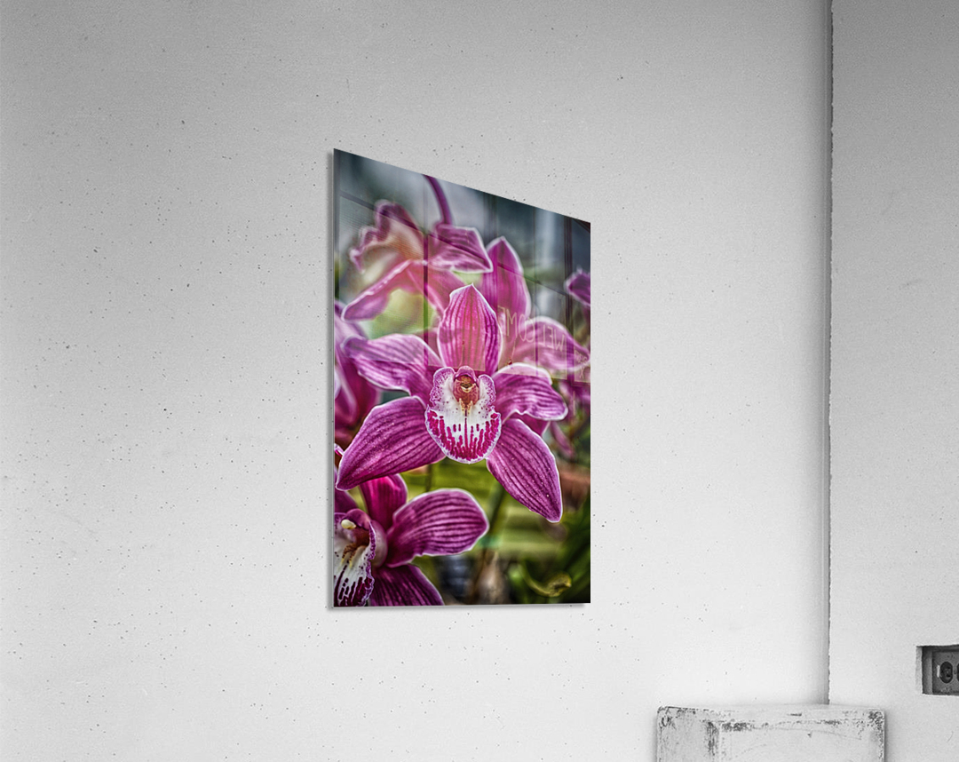 flower 12 Acrylic Print