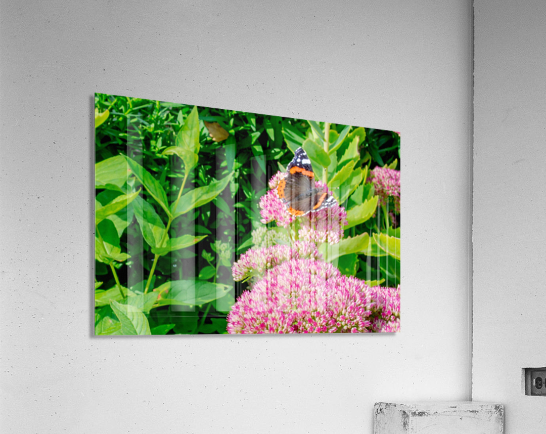 20190916 DSC 0326 Acrylic Print