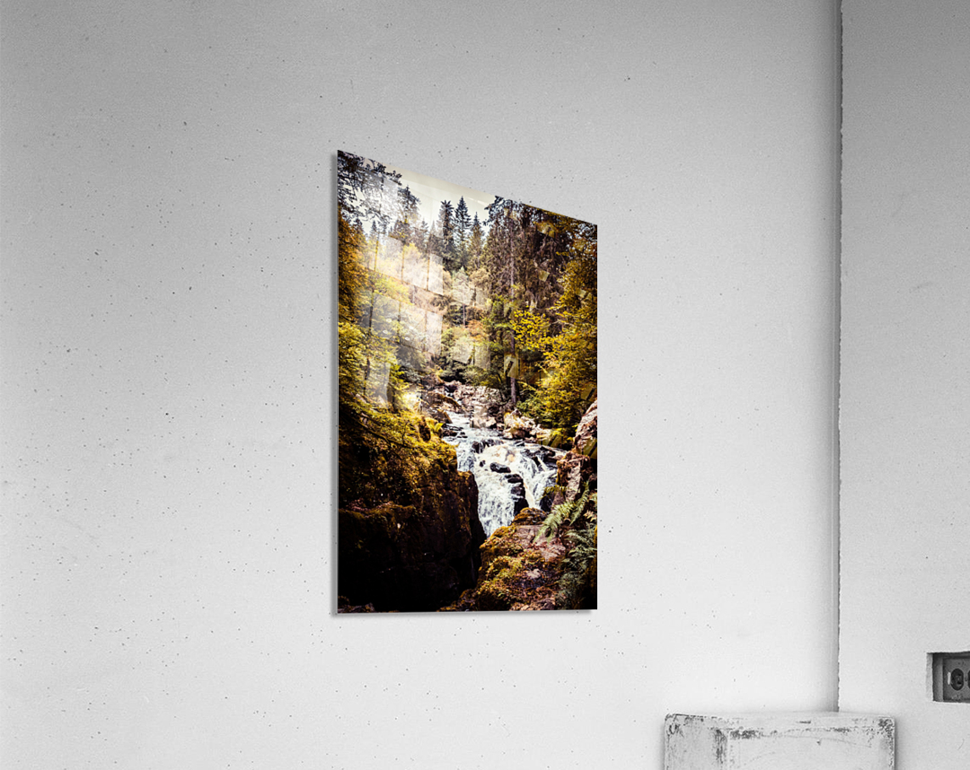 20190918 DSC 0267 4 Acrylic Print