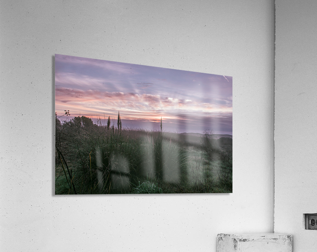 20200118 DSC 0114 Acrylic Print