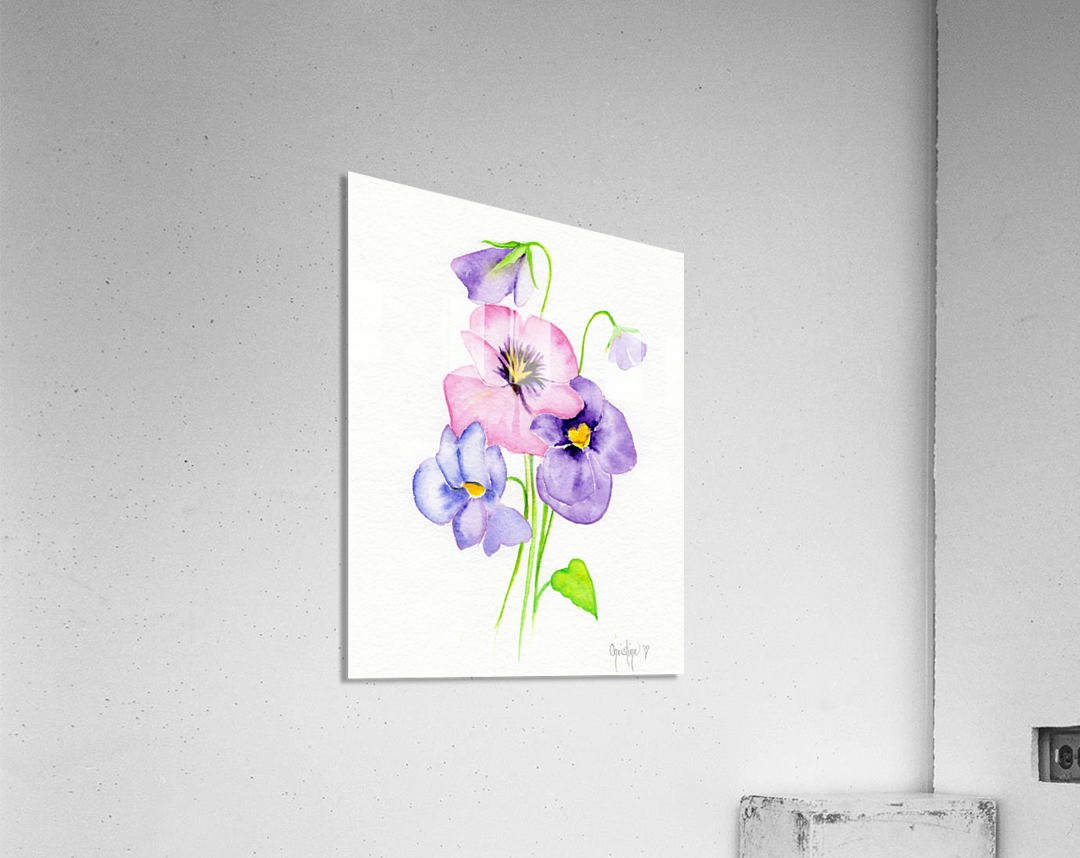 Pansy Acrylic Print