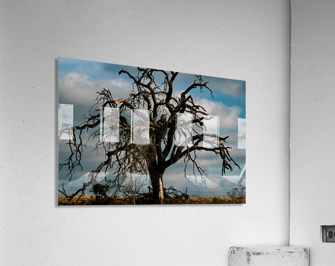 If 2020 Were a Tree Acrylic Print