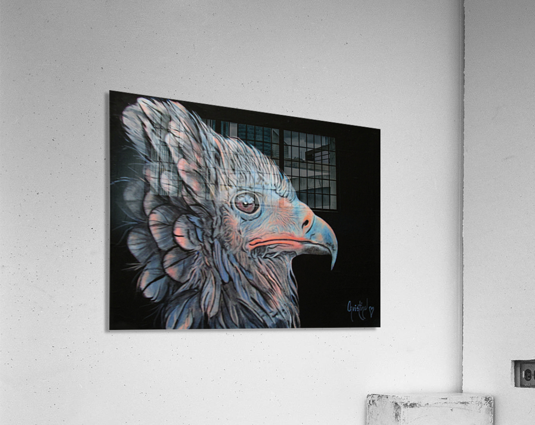 Insomniac Acrylic Print