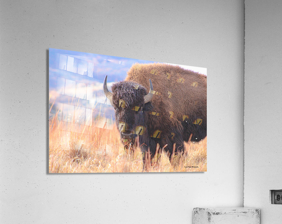 Mouthfull Acrylic Print