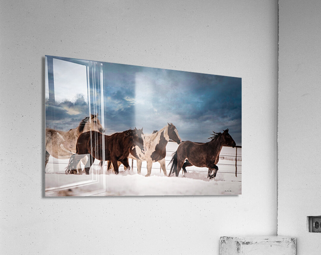 Wild Horses Acrylic Print