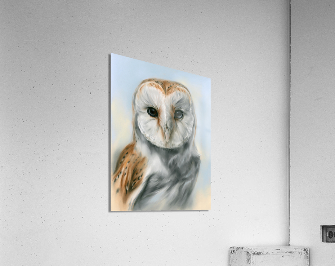 Barn Owl Perceptive Gaze Acrylic Print