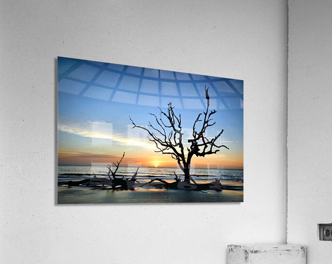 Iconic Tree Sunrise at Driftwood Beach Jekyll Island Acrylic Print