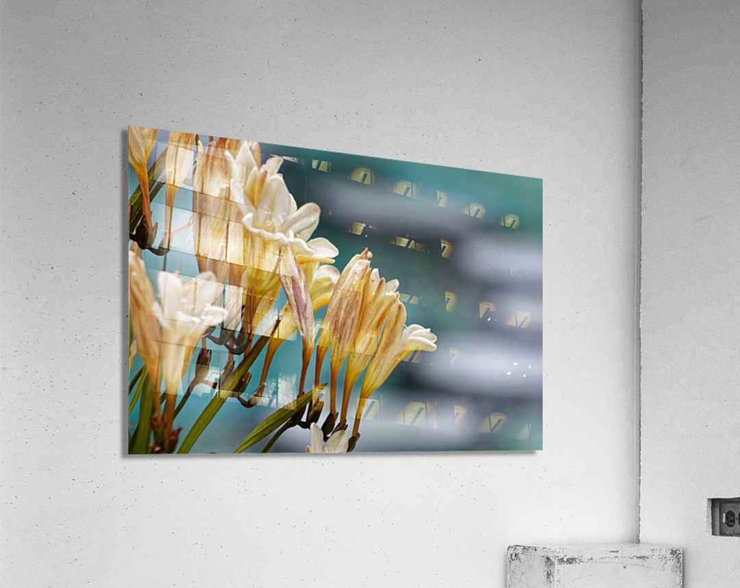 20210414IMG 8058 Acrylic Print