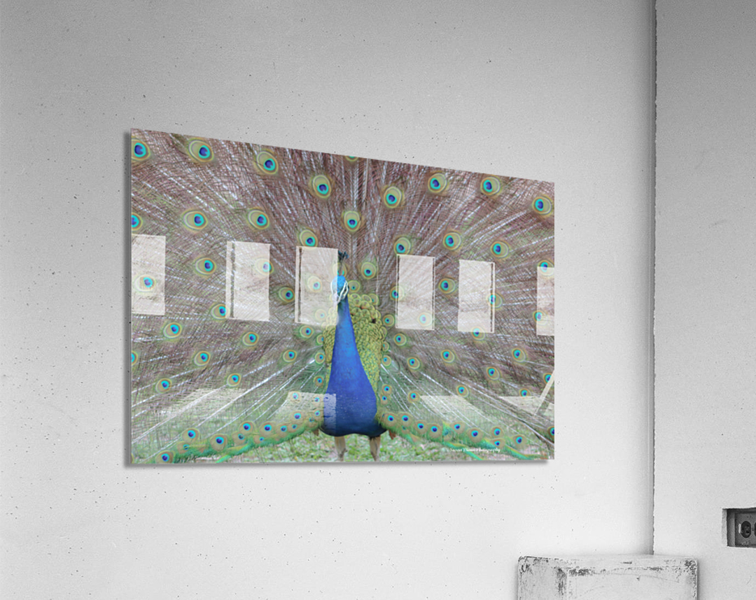 WILD IS MY FAVORITE COLOR SERIES-6 Acrylic Print