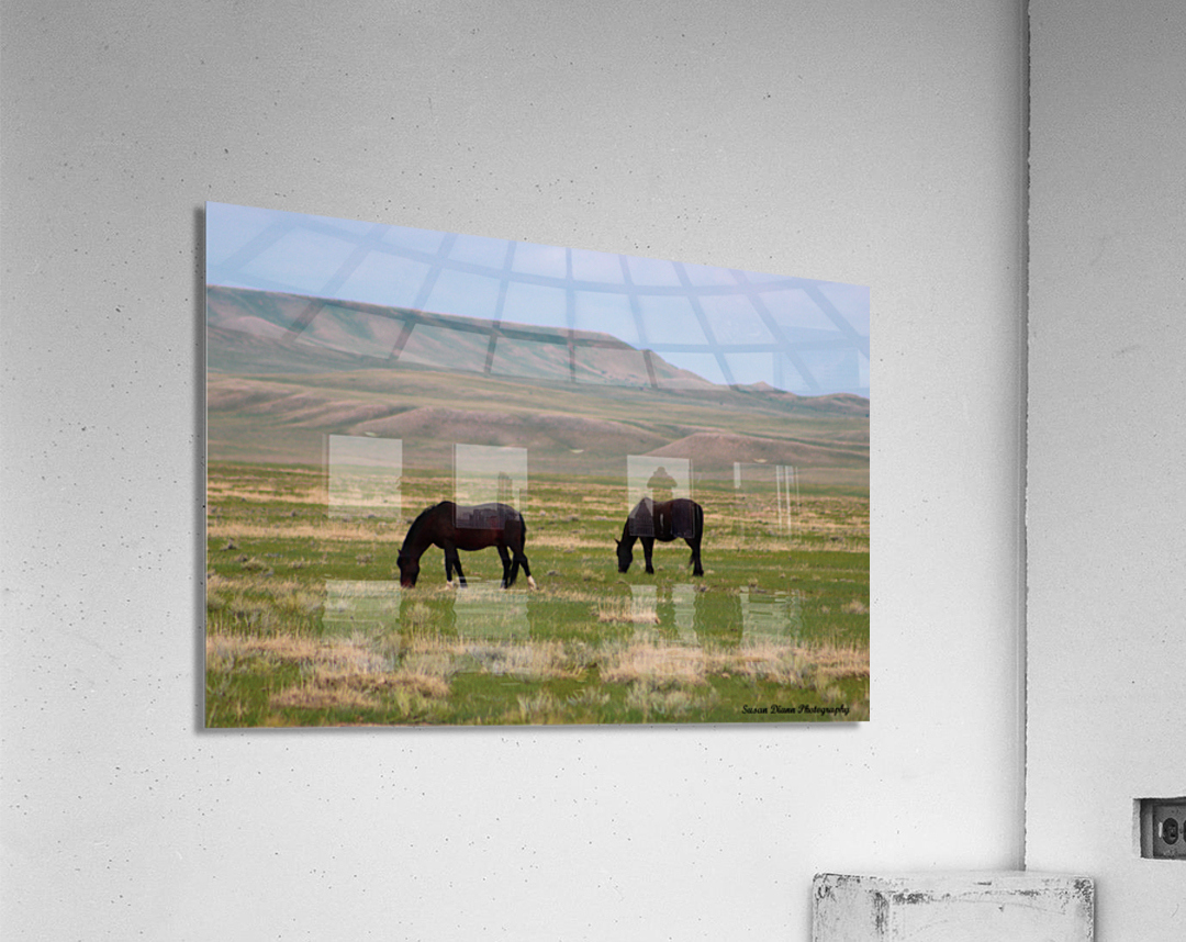 Wild Beauties Acrylic Print