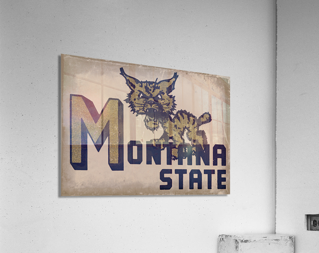 Vintage Montana State Bobcat Art Acrylic Print