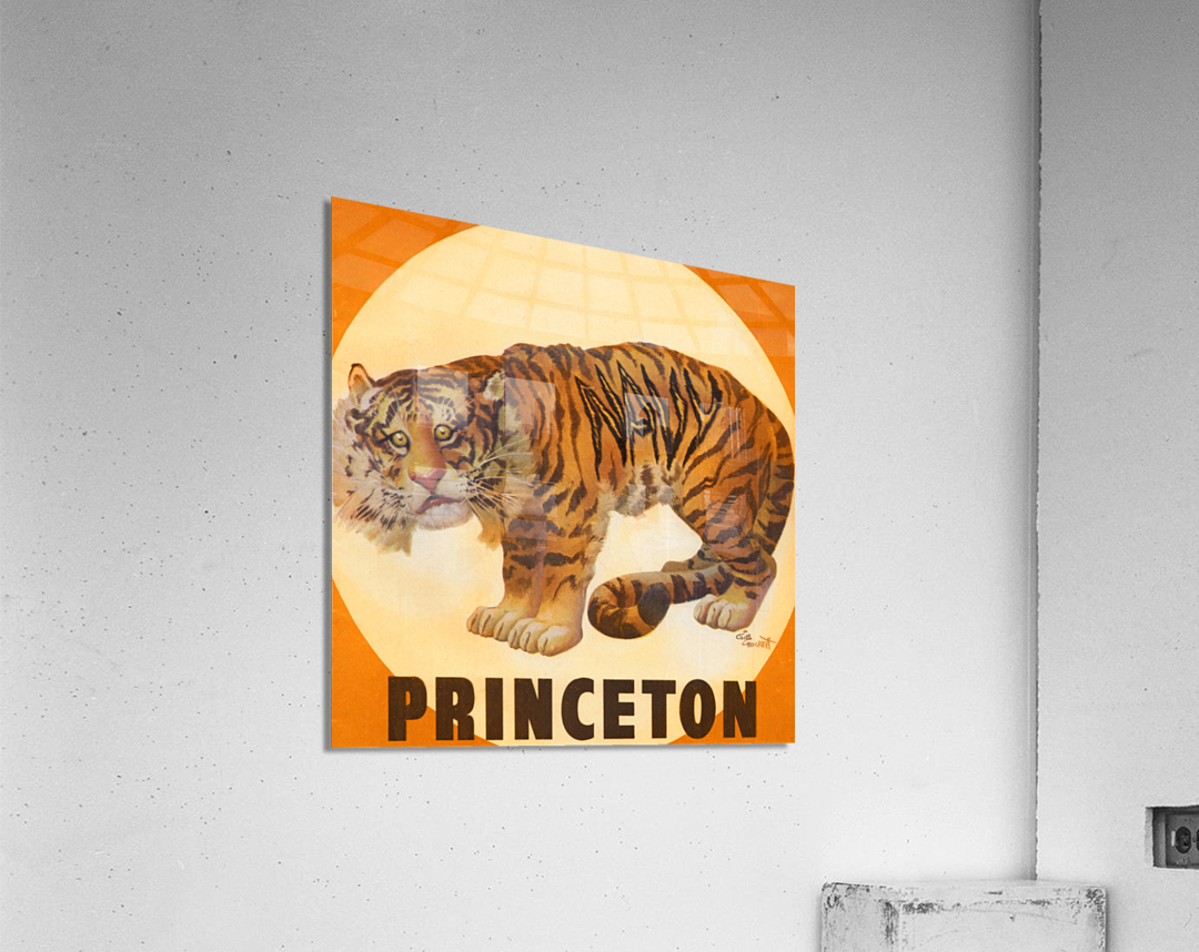 1949 Princeton Tiger Art by Gib Crockett | Row 1 Acrylic Print