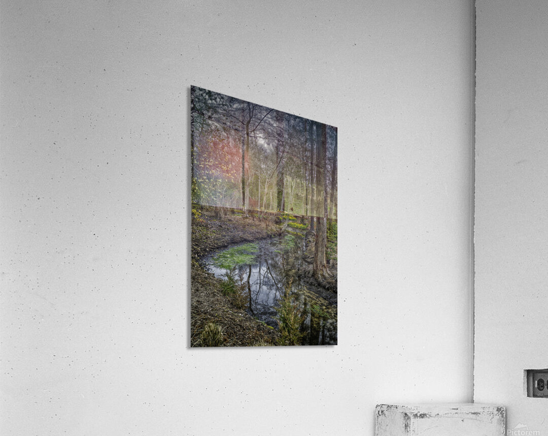 stream Acrylic Print