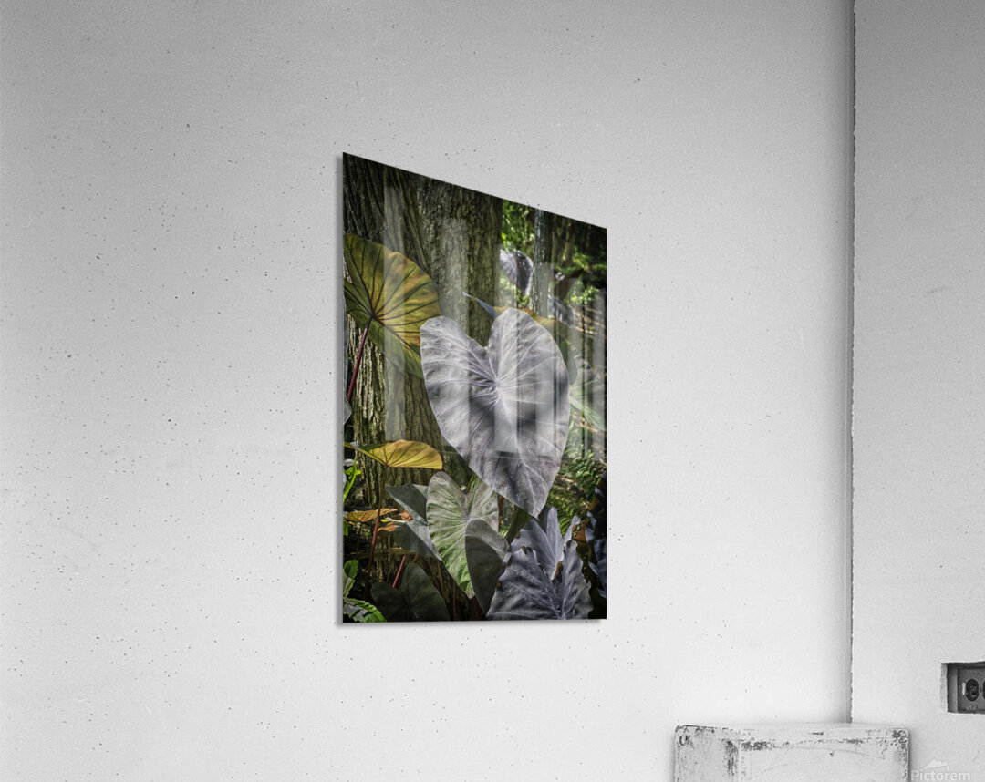 jungle Acrylic Print