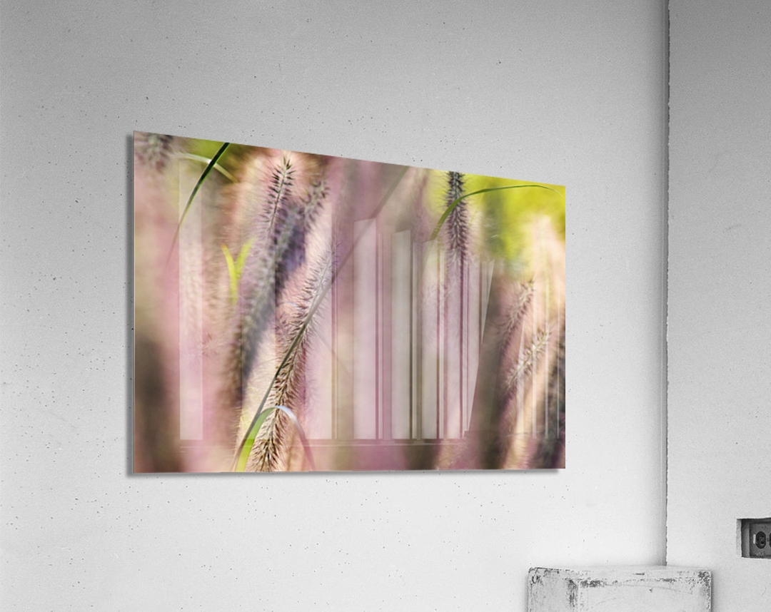 Summer Breeze Acrylic Print