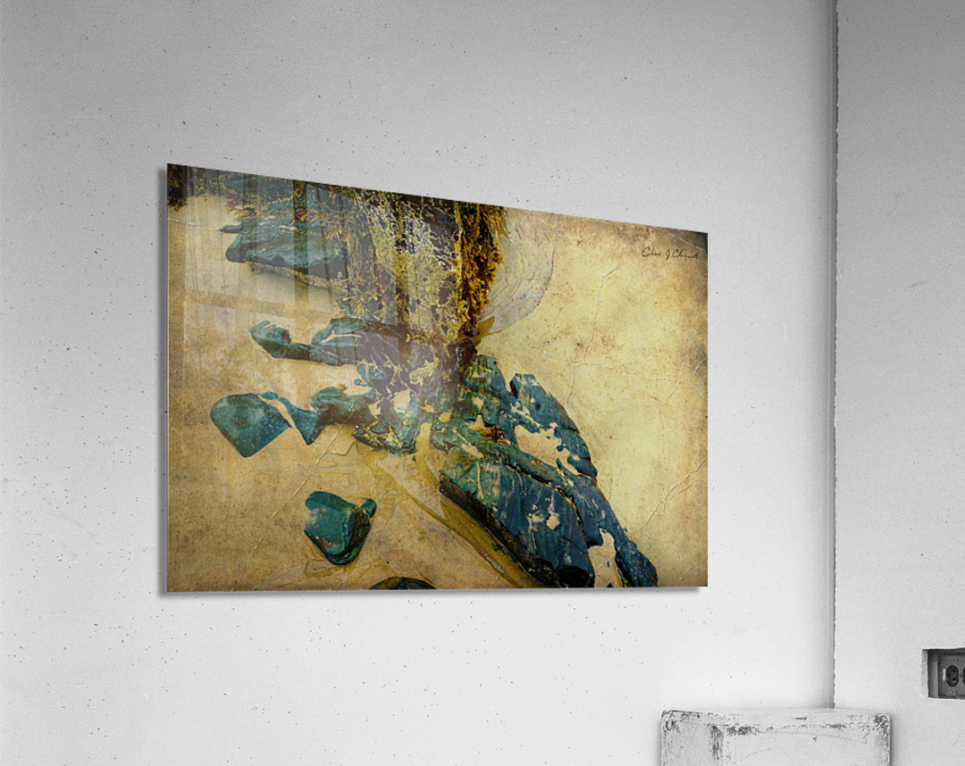  Into the Sand and Sea  Acrylic Print