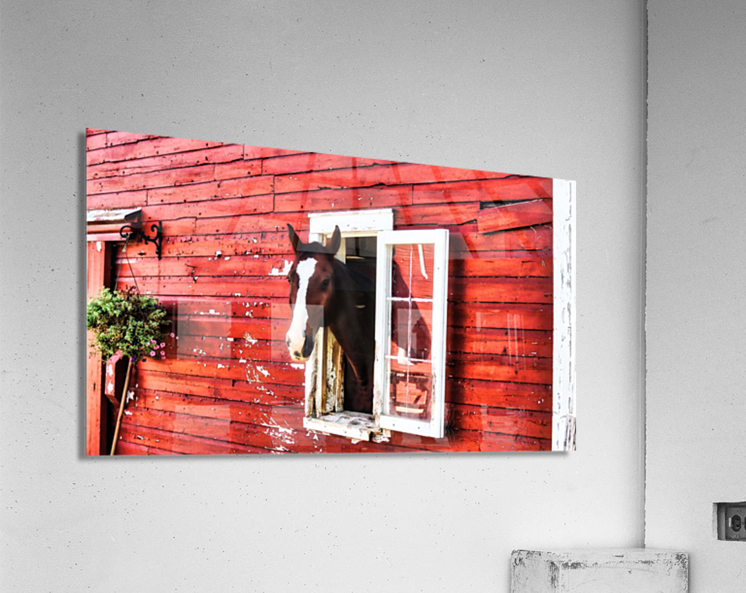 Sunday Acrylic Print