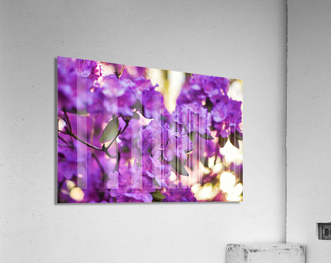 Spring  Acrylic Print