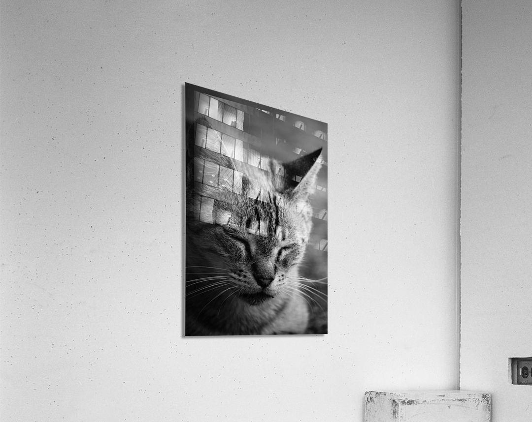 Close to the sunlight Acrylic Print